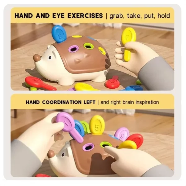 Best Sensory Toys for Toddlers Hedgehog Concentration Fine Motor Training Learning Counting Sorting Development Education Toys - Image 5