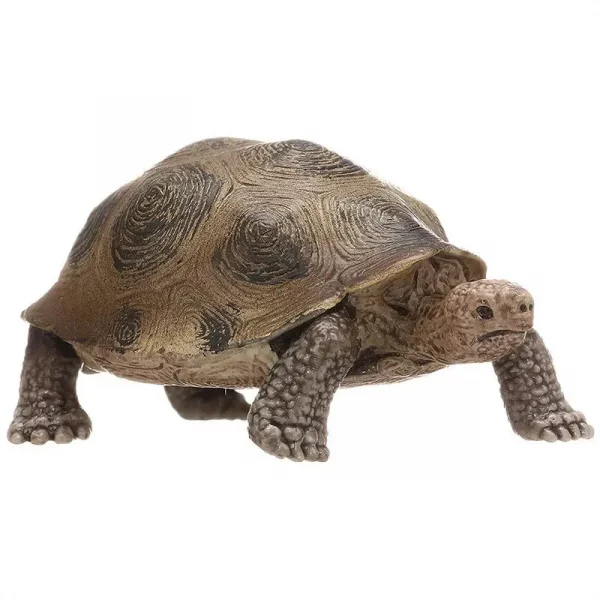 3.4inch Giant Tortoise Nimal Model Galapagos Tortoise Turtle Model Figure Animal Toy Educational Collection For Kids Xmas Gift - Image 5