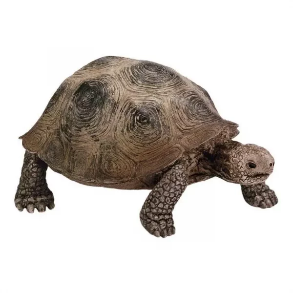 3.4inch Giant Tortoise Nimal Model Galapagos Tortoise Turtle Model Figure Animal Toy Educational Collection For Kids Xmas Gift - Image 6