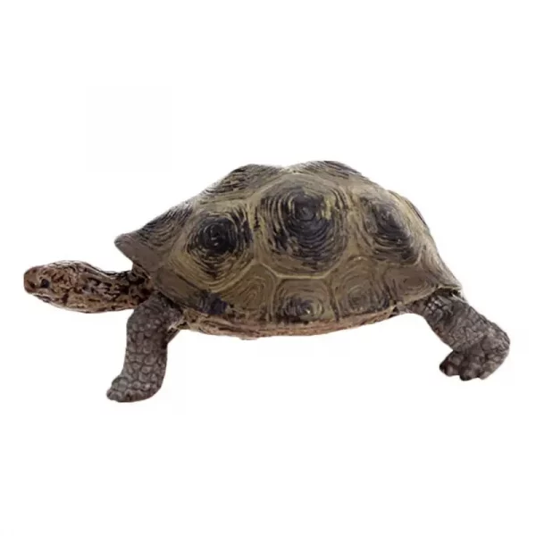 3.4inch Giant Tortoise Nimal Model Galapagos Tortoise Turtle Model Figure Animal Toy Educational Collection For Kids Xmas Gift - Image 4