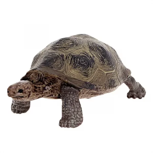 3.4inch Giant Tortoise Nimal Model Galapagos Tortoise Turtle Model Figure Animal Toy Educational Collection For Kids Xmas Gift - Image 2